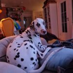 20241203_221207 - Kopie