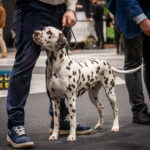 IMG_1679